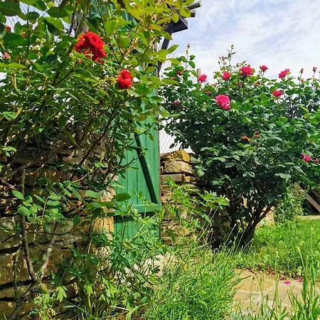 Holiday home Cozy 1 Bed In Near Karnobat Burgas *