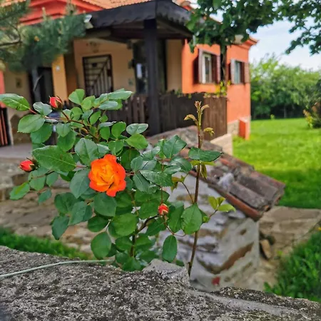 Cozy 1 Bed In Near Karnobat Burgas Holiday home