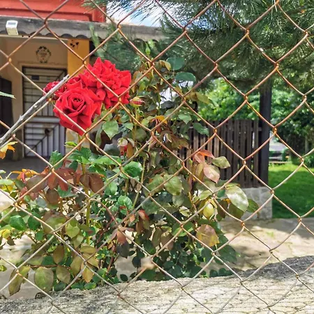 Holiday home Cozy 1 Bed In Near Karnobat Burgas *