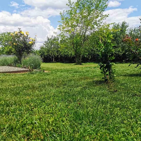 Cozy 1 Bed In Near Karnobat Burgas Holiday home Ognen
