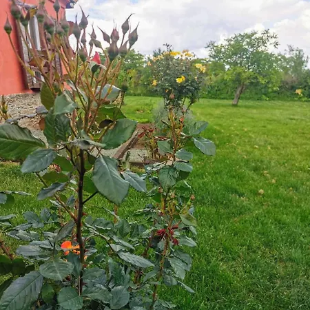 Cozy 1 Bed In Near Karnobat Burgas Holiday home *